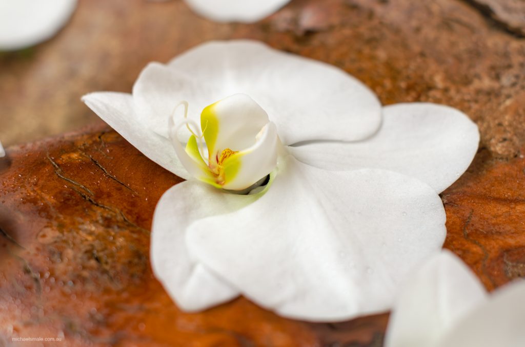 Wedding ornamental flower Wedding ornamental flower